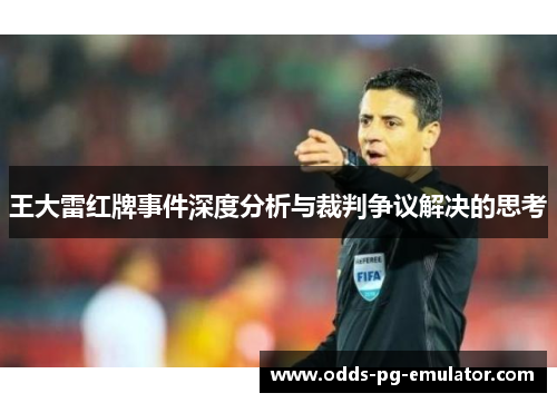 王大雷红牌事件深度分析与裁判争议解决的思考 王大雷红牌事件深度分析与裁判争议解决的思考
