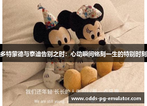 多特蒙德与泰迪告别之时:心动瞬间铭刻一生的特别时刻 多特蒙德与泰迪告别之时:心动瞬间铭刻一生的特别时刻