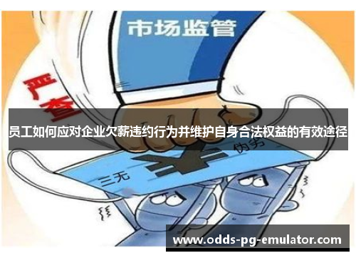 员工如何应对企业欠薪违约行为并维护自身合法权益的有效途径