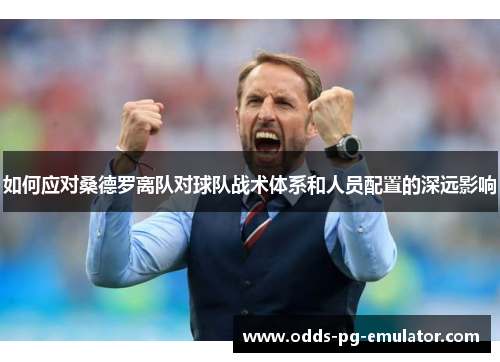 如何应对桑德罗离队对球队战术体系和人员配置的深远影响