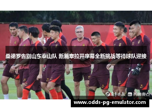 桑德罗告别山东泰山队 新篇章拉开序幕全新挑战等待球队迎接 桑德罗告别山东泰山队 新篇章拉开序幕全新挑战等待球队迎接