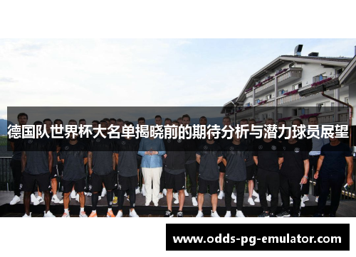 德国队世界杯大名单揭晓前的期待分析与潜力球员展望