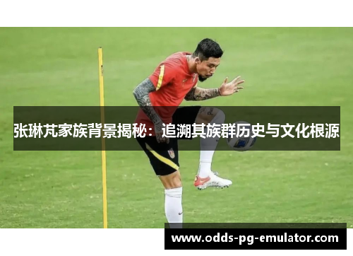 张琳芃家族背景揭秘:追溯其族群历史与文化根源 张琳芃家族背景揭秘:追溯其族群历史与文化根源