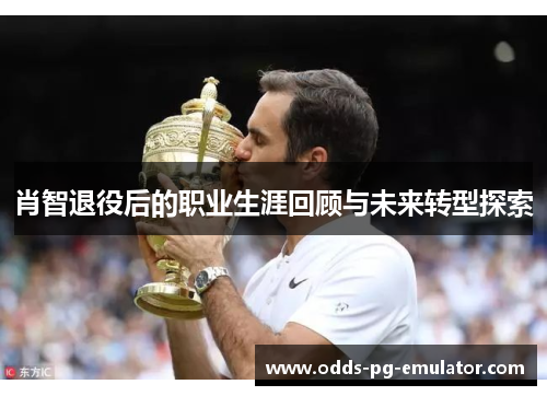 肖智退役后的职业生涯回顾与未来转型探索 肖智退役后的职业生涯回顾与未来转型探索