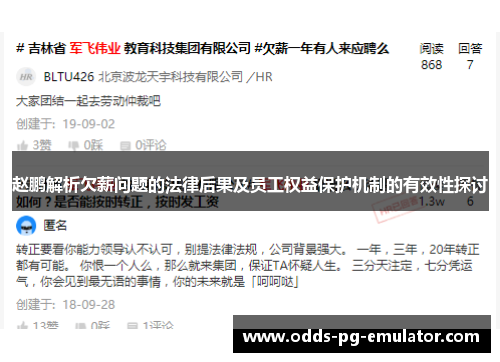 赵鹏解析欠薪问题的法律后果及员工权益保护机制的有效性探讨