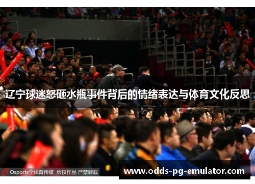 辽宁球迷怒砸水瓶事件背后的情绪表达与体育文化反思 辽宁球迷怒砸水瓶事件背后的情绪表达与体育文化反思