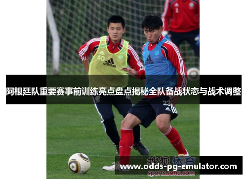 阿根廷队重要赛事前训练亮点盘点揭秘全队备战状态与战术调整