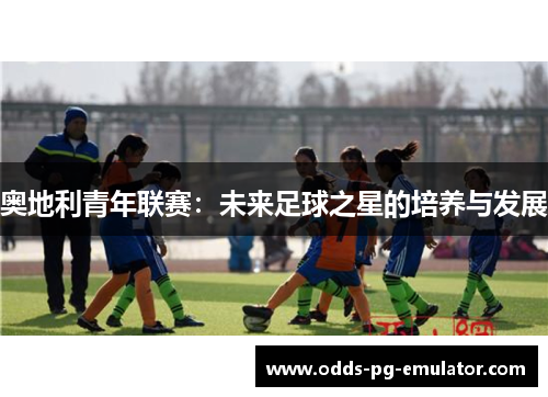 奥地利青年联赛：未来足球之星的培养与发展