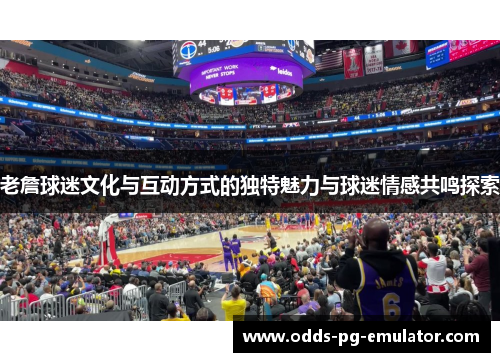 老詹球迷文化与互动方式的独特魅力与球迷情感共鸣探索