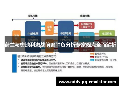 荷兰与奥地利激战前瞻胜负分析专家观点全面解析 荷兰与奥地利激战前瞻胜负分析专家观点全面解析