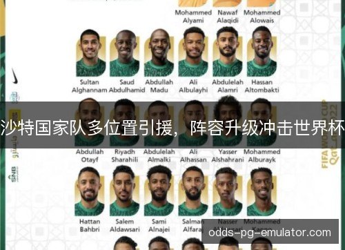 沙特国家队多位置引援，阵容升级冲击世界杯